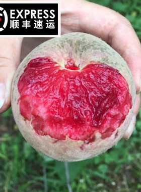老兵顺丰胭脂红血桃5斤红心雪桃朱砂红桃子猪血毛桃新鲜水果蜜桃