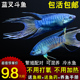 中国斗鱼活体活鱼蓝叉普叉鱼苗观赏鱼叉尾斗鱼巨普冷水淡水鱼蓝色