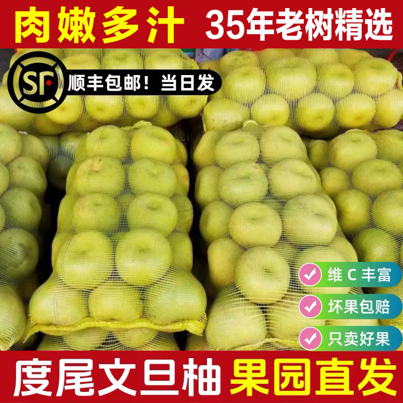 度尾文旦柚红心蜜柚肉嫩汁多