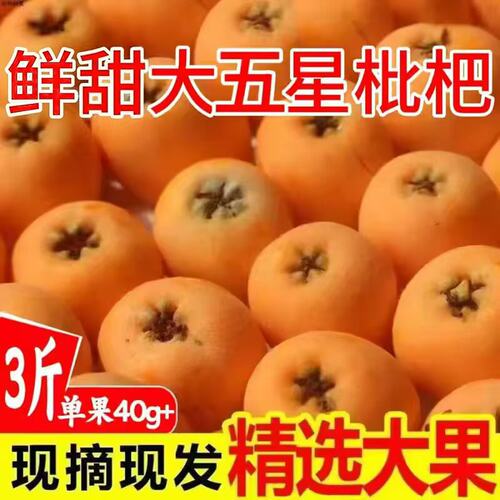 四川攀枝花米易枇杷鲜果当季水果