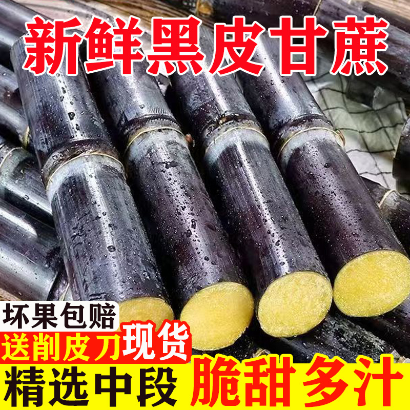 黑皮甘蔗新鲜现砍中段脆甜甘蔗