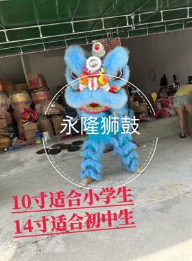 舞狮狮头道具儿童泡沫可眨眼表演醒狮头 10寸14寸开学季演出
