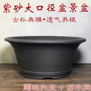 宜兴紫砂花盆特大盆景花盆罗汉松黄杨老桩盆庭院落地种树花盆清仓