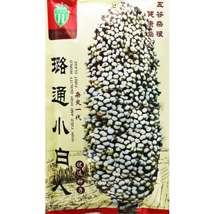 璐通小白人杂交白高粱种子 矮生抗旱高产酿酒高粱籽 抗旱涝耐贫瘠