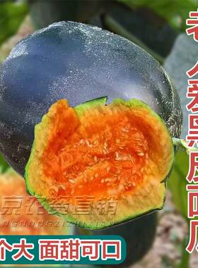 黑皮面瓜种子香瓜甜瓜种籽超面超甜四季水果蔬菜老品种高产包邮
