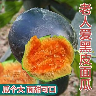 包邮 水果蔬菜老品种高产 黑皮面瓜种子香瓜甜瓜种籽超面超甜四季