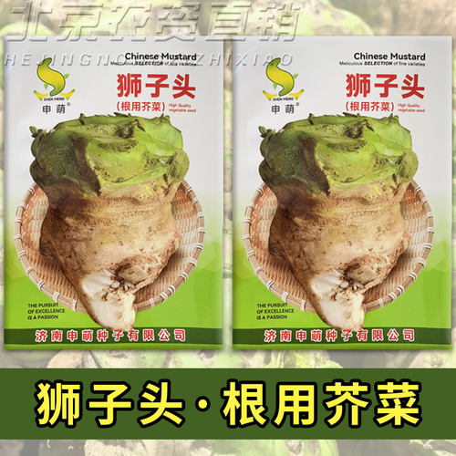 辣疙瘩菜种子东北秋季蔬菜种子籽