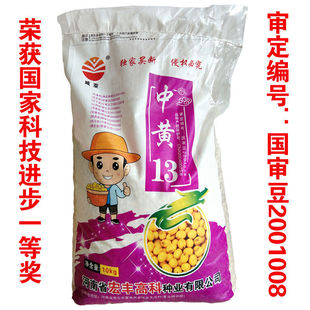 中黄13黄豆种子高产黄豆种子农家春季夏季播高产优质豆种春夏季播