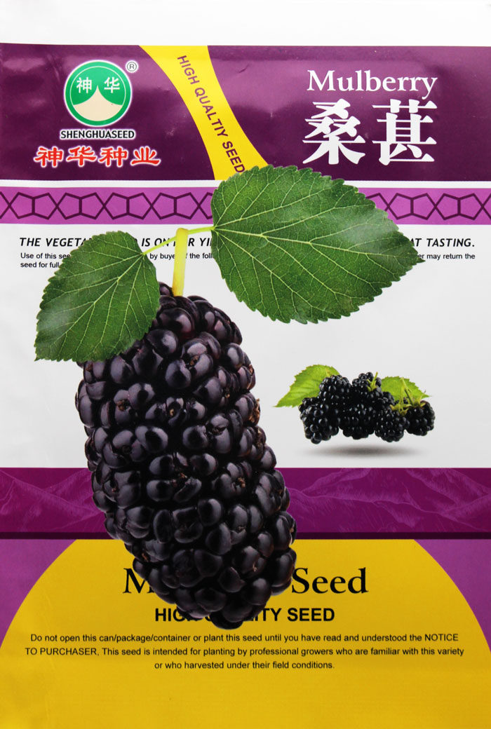 水果桑葚种子春秋 聚花果桑葚树果桑马桑桑枣树籽桑叶树 酸甜可口