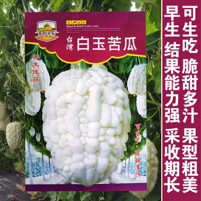 台湾苹果苦瓜种子种籽苗秧苗白玉四季盆栽蔬菜白高产水果苦瓜孑