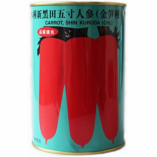 益农牌 新黑田五寸人参金笋种 进口胡萝卜种子日本种高产胡萝卜籽