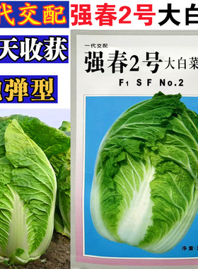 广良强春2号黄心大白菜种子
