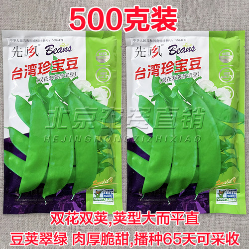 珍宝豆荷兰豆种子大荚双花双荚