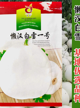 懒汉白雪甜瓜种子超甜抗病抗裂