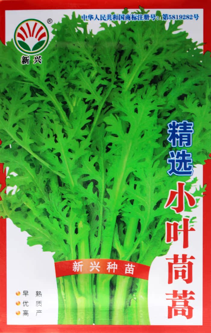 精选小叶茼蒿种子 稳产抗病速生茼蒿蔬菜籽 味清香 农家大田春播