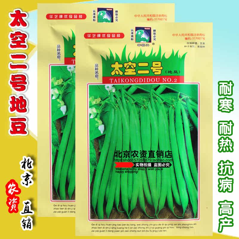 太空二号地豆王种子 无架豆角蔬菜籽 耐寒耐热抗病 春秋播 易种