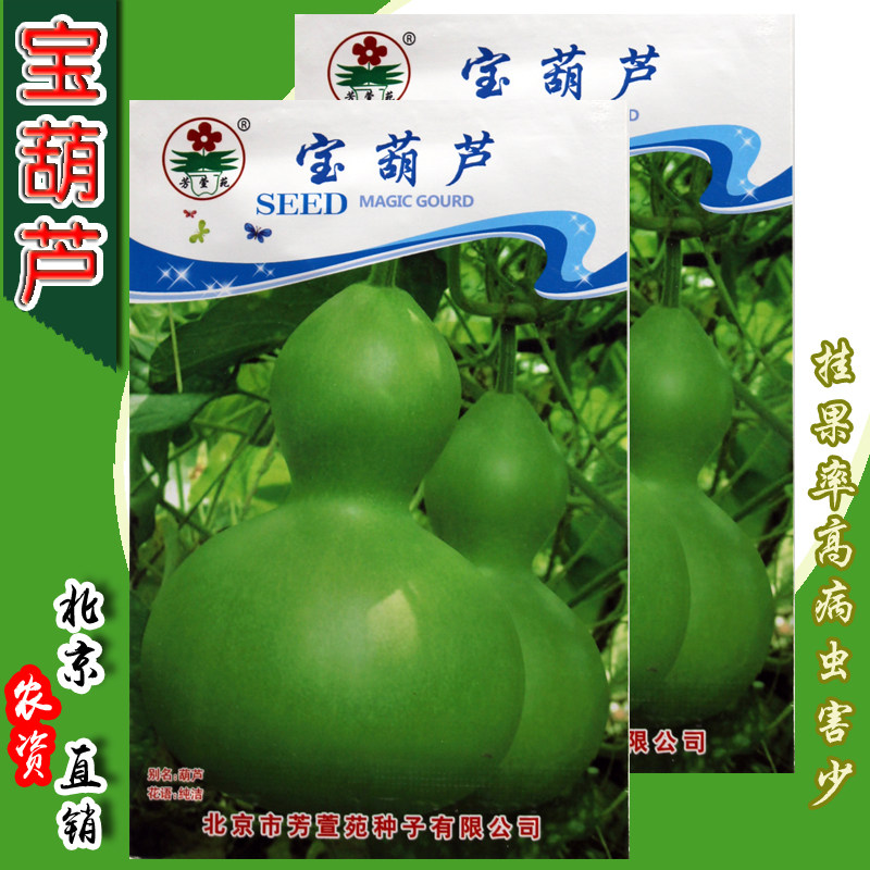 宝葫芦种子 手工创意大葫芦籽 易种 庭院阳台盆栽绿化绿植 春秋播
