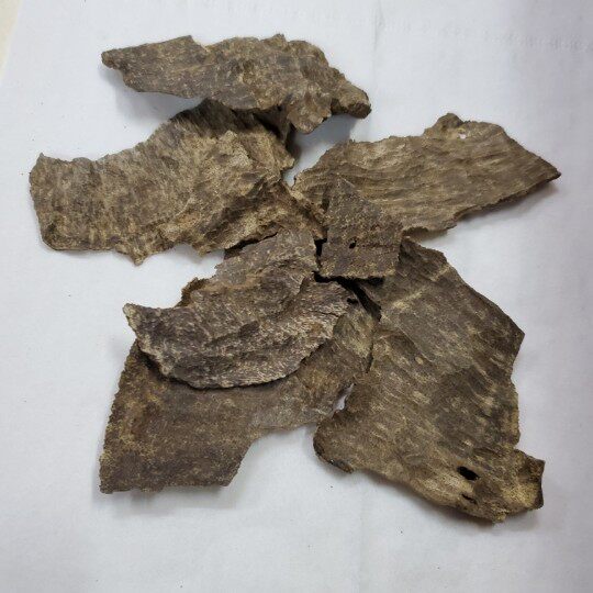 海南沉香片状小块老料天然随型