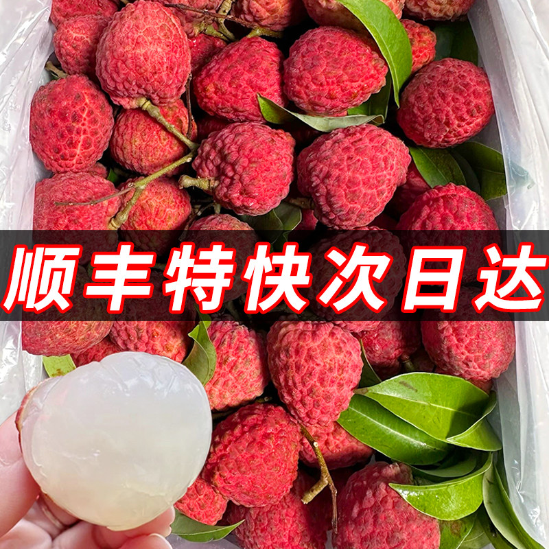 老树当季水果应季10斤香甜大果