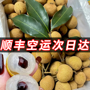 龙眼新鲜现摘现发特级储良桂圆叶石硖峡肉干一级水果整箱10斤广东