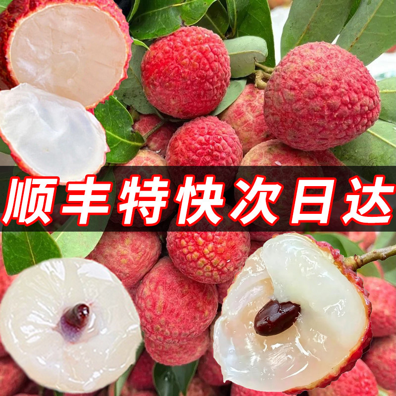 白糖罂荔枝新鲜现摘现发妃子广笑东海南西水果大礼盒10斤时令当季