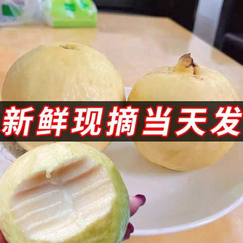 奶油软糯广东本地老树小香果