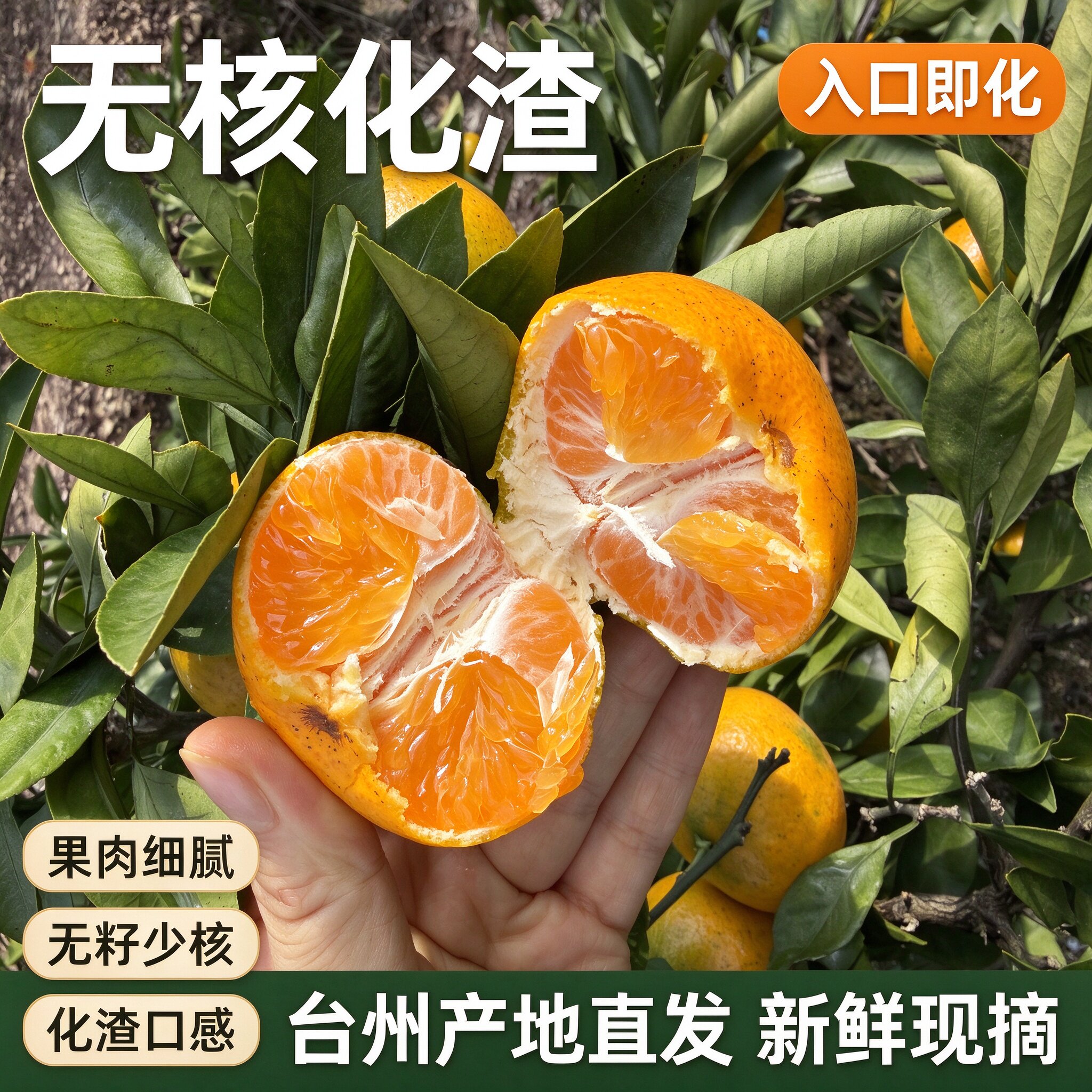 甜正宗涌泉高山蜜桔新鲜蜜桔