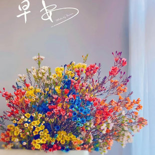 【腊梅鲜花】鲜切花水养新年年宵花花卉年宵花懒人养云南基地直发