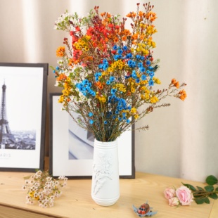 【腊梅年货】鲜切花水养新年年宵花花卉年宵花懒人养云南基地直发