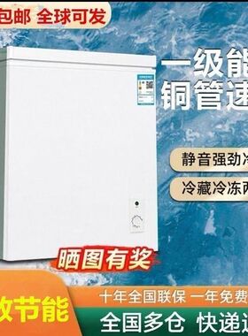 小型冰柜家用全冷冻冷藏两用一级