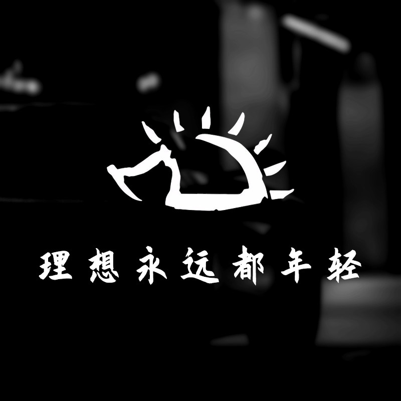 赵雷车贴个性创意歌词车贴刺猬LOGO粉丝专属签名汽车贴纸后窗贴纸
