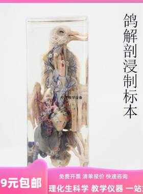 鱼解剖浸制标本兔解剖浸制标本蛙发育顺序蛙解剖浸制标本鸽解剖