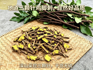 三颗针老黄连切片四川产鸡脚刺清热降火熬夜上火长备中药材