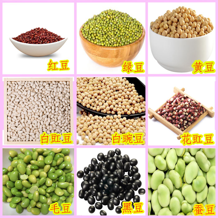 bulk peas green soya beans Edamame Ma peas Red bean black soya bean Cowpea White kidney beans Red kidney bean Bean seedin the Flower delivery/Flowers simulation/Plants gardening , Flowers/Fruits and vegetables/Lawn seed (New) , Home &amp; Garden Seeds  category - from Buy2taobao.com to provide professional Taobao agent buy service