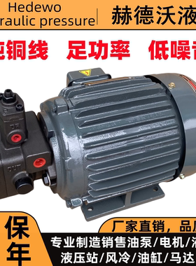 液压油泵电机组VP15/VP20+0.75KW/1.5KW液压泵总成内轴电机液压站