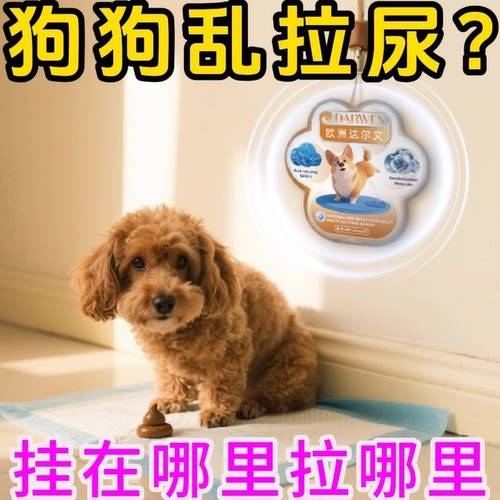 狗狗定点上厕所神器专研狗定点排便神器上厕所诱导挂件大小便训练