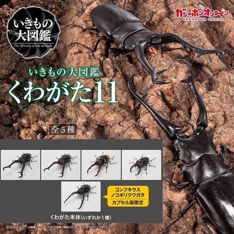 [预售定金] 生物大图鉴 锹形虫公仔11长颈鹿锯锹昆虫可动不包邮