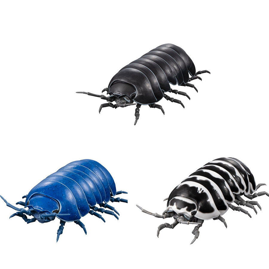 预定正版生物大图鉴团