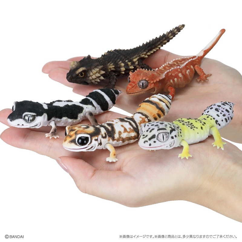 7月预售定金万代扭蛋生