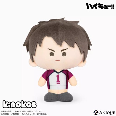 排球少年KINOS第2弹毛