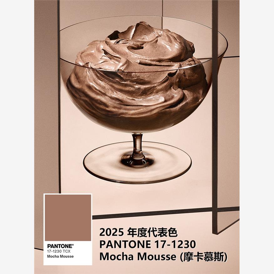 Pantone潘通2025年度代表色棉布版色卡 COTTON SWATCH CARDS,  PA