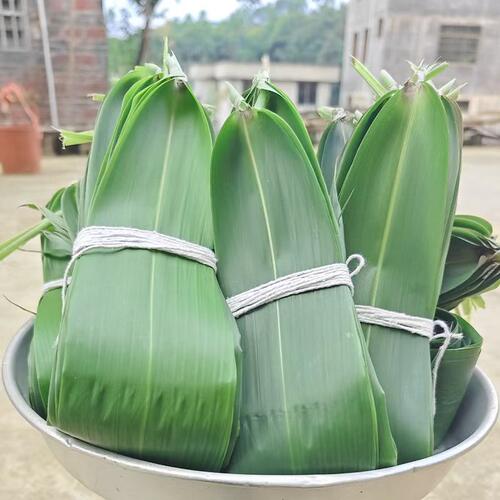 新鲜大芒叶现摘纯家用非芦苇叶农家新鲜粽叶包粽子叶粽叶粽大宽叶