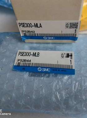 PSE300-MLB，PSE300-MLA数显负压