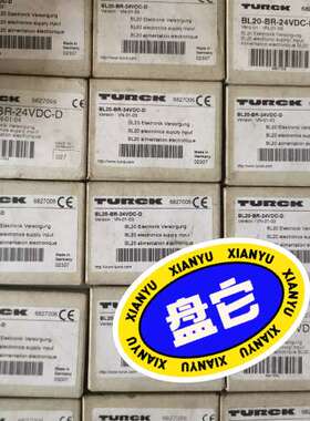 图尔克 BL20-BR-24VDC-D 6827006 带诊
