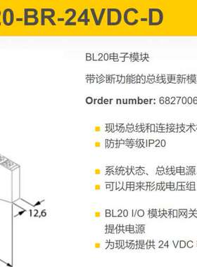 图尔克 BL20-BR-24VDC-D 6827006 带诊