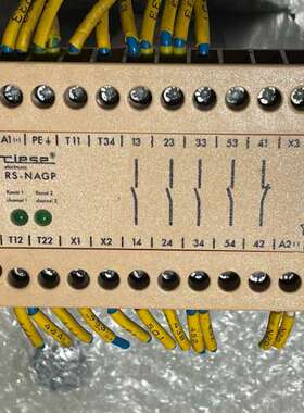 德国RIESE安全继电器 RS-NAGP AR.9601.9