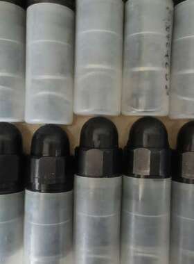 R900424288 DBDS30K1X/315