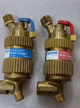 302976 183970 FLASHBACK ARREST