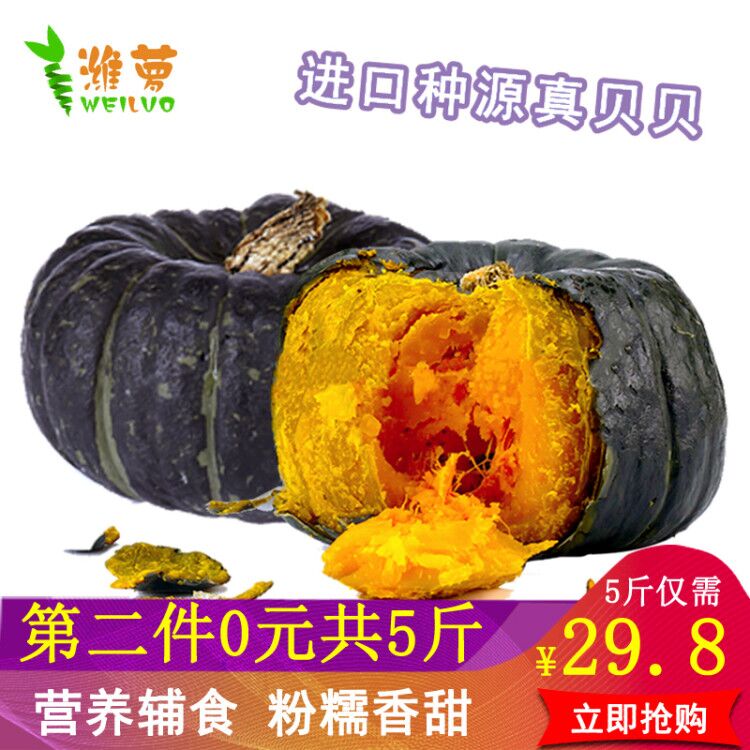 潍萝真贝贝南瓜板栗小南瓜包邮老面日本贵族金丝栗面儿童辅食1250