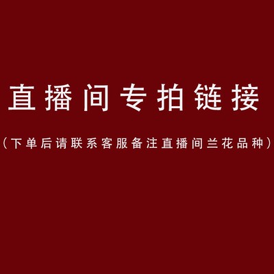 兰花苗名贵春兰直播专拍花卉兰草室内阳台盆栽盆景绿植物好养